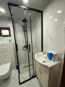 a bathroom with a shower and a sink and a toilet at Villa Golda in Petrovac na Moru