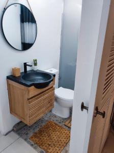 een badkamer met een wastafel, een spiegel en een toilet bij Le Moubin in La Trinité