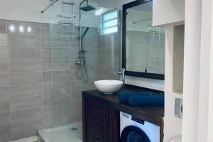 une salle de bain avec un lavabo et une douche en verre dans l'établissement Marin’Appart * vue sur mer*, à Gourbeyre