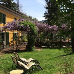 Vườn quanh Villa Lucchesi