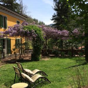 Κήπος έξω από το Villa Lucchesi