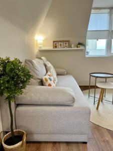 a couch in a living room with a potted plant at Dockview atelier in Burgas City