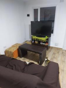 ein Wohnzimmer mit einem TV und einer Katze auf dem Boden in der Unterkunft Felicata in Sarmiento