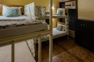 um quarto com 2 beliches num dormitório em AmigosIndia em Nova Deli