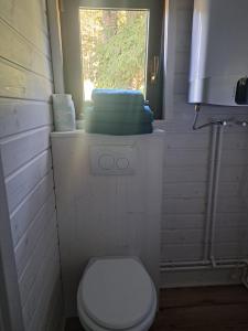 a small bathroom with a toilet and a window at Tiny House Waldschmied 1 in Latzendorf