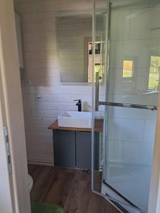 uma casa de banho com um lavatório e um espelho em Tiny House Waldschmied 1 