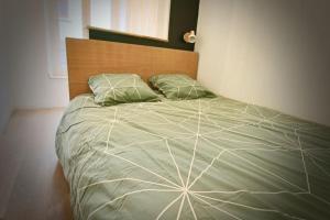 Appartement centre Brioude في بريود: غرفة نوم بسرير كبير عليها شراشف ومخدات خضراء