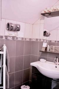 a bathroom with a sink and a mirror at Les Champs de Tracy in La Graverie