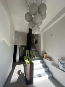 un escalier dans une maison avec une plante en pot dans l'établissement The Loft, à Milazzo