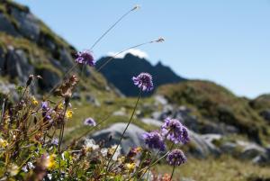 Paesaggio naturale nelle vicinanze dell'ostello