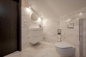 uma casa de banho com um WC, um lavatório e um espelho. em Guest Villa Klaipeda em Klaipeda