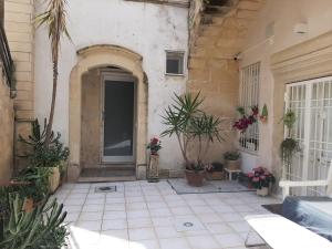 une entrée à un bâtiment avec des plantes en pot dans l'établissement Il Vico, à Lecce