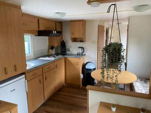 een keuken met houten kasten en een tafel met een plant bij Vakantiepark de zanderij in Voorthuizen