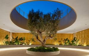 a tree in front of a building with a large window at INTEMPO SKY RESORT by Costa Activa Rentals in Benidorm