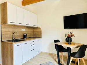 Kuchyň nebo kuchyňský kout v ubytování MYAPPARTEMENT