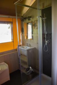 a bathroom with a shower and a sink at Safaritent Lodge 5 in Ruurlo +11 photos