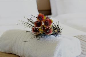 Galería fotográfica de Diogenis Hotel en Ermoupoli