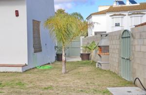 una pequeña palmera en un patio junto a una casa en Casa Aqua, en El Guijo