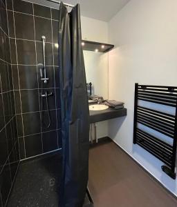 uma casa de banho com um chuveiro e um lavatório. em La Résidence Amal em Talence