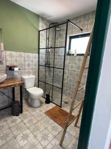 a bathroom with a shower and a toilet in it at Jugendstil Villa - 2 min zum Meer in Figueira da Foz