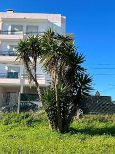 two palm trees in front of a building at Jugendstil Villa - 2 min zum Meer in Figueira da Foz