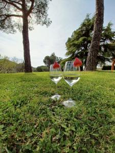 Nápoje v ubytovaní Villa Poggio fagianino