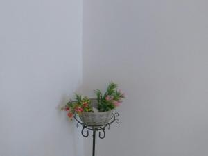 Foto sihtkohas Psalidi asuva majutusasutuse KOS Family House galeriist