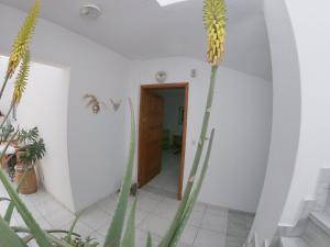 Foto sihtkohas Psalidi asuva majutusasutuse KOS Family House galeriist
