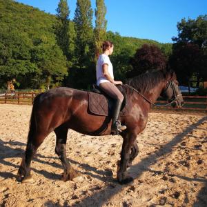 Horseback riding at a vidéki vendégházakat or nearby