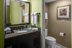 a bathroom with a sink and a toilet and a mirror at Holiday Inn Express Hotel & Suites Atlanta Buckhead, an IHG Hotel in Atlanta