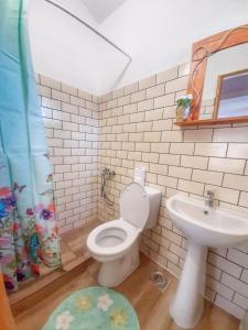 un baño con inodoro y lavabo en RAINBOW HOME, en Gornji Štoj