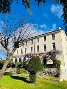 ディーニュ・レ・バンにあるLes Glycines, charmant studio au calme dans bâtisse de Maître proche du centre ville parking gratuitの紫色の花々が目の前に咲く白い建物