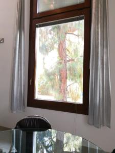 a window in a kitchen with a tree at Domus Open Space in San Donato di Lecce