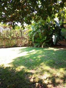 a green yard with a tree and some grass at Domus Open Space in San Donato di Lecce