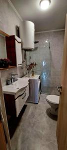 a bathroom with a sink and a toilet in it at APARTMANI DIJANA in Trebinje