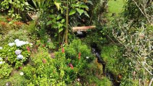 MALOKAS AGUA VIDA & NATURALEZA外面的花园