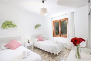 Habitación blanca con 2 camas y un jarrón con flores rojas en Villa Oliver, en Pollensa