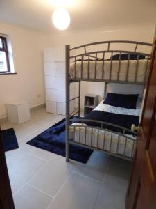 a bedroom with two bunk beds in a room at The Mill Cottage in Llechryd