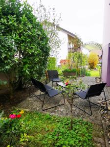 d'une terrasse avec des chaises et une table dans le jardin. dans l'établissement Ferienwohnung Bermatingen, à Bermatingen