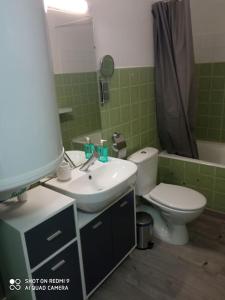W łazience znajduje się umywalka, toaleta i lustro. w obiekcie Chez Loïc et Mélanie w mieście Besse-et-Saint-Anastaise