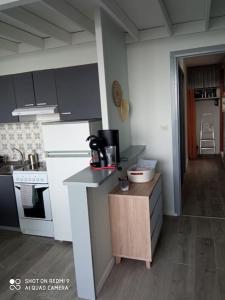 kuchnia z kuchenką i blatem w obiekcie Chez Loïc et Mélanie w mieście Besse-et-Saint-Anastaise