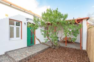 ein weißes Haus mit einer grünen Tür und einem Baum in der Unterkunft Old Tree House in Oradea