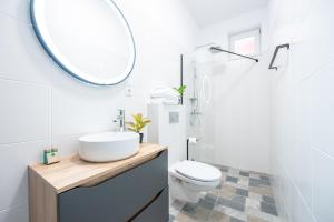 W łazience znajduje się umywalka, toaleta i lustro. w obiekcie Old Tree House w mieście Oradea