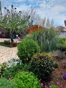 a garden with flowers and plants in a yard at Rooms Hodanić in Krk