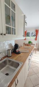 uma cozinha com um lavatório e um gato sentado num balcão em T2 CALME + cadre verdoyant em Besse-sur-Issole