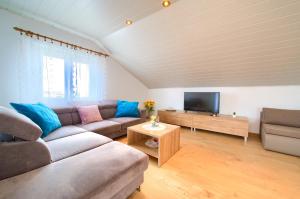 Televízia a/alebo spoločenská miestnosť v ubytovaní Apartment Mladen
