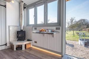 a living room with a stove in a tiny house at Lily Pad in Saxmundham