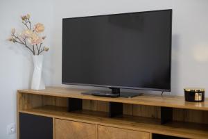 Televízia a/alebo spoločenská miestnosť v ubytovaní Apartment Mladen