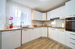 Kuchyňa alebo kuchynka v ubytovaní Apartment Mladen