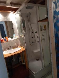 un baño con ducha y lavabo en Appartement rue de la cascade 64440 Eaux-Bonnes, en Eaux-Bonnes